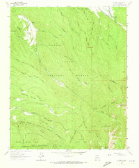 El Valle 1964 topographic map thumbnail