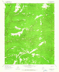 Elk Mountain 1963 topographic map thumbnail