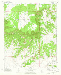 Fence Lake SW 1972 topographic map thumbnail