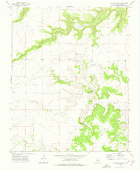 Fiddler Springs 1972 topographic map thumbnail