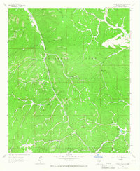 Firman Canyon 1963 topographic map thumbnail
