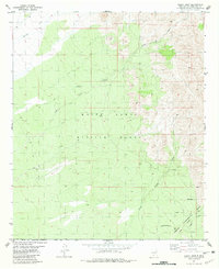 Fleck Draw 1981 topographic map thumbnail