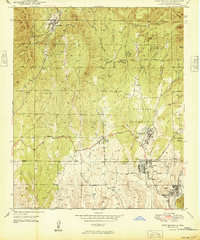 Fort Bayard 1949 topographic map thumbnail