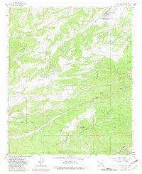 Fort Stanton 1963 topographic map thumbnail
