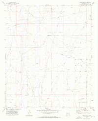 Frier Ranch 1973 topographic map thumbnail