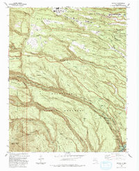 Frijoles 1984 topographic map thumbnail