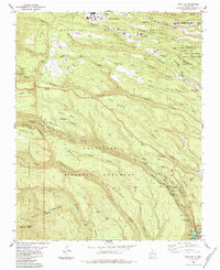 Frijoles 1984 topographic map thumbnail