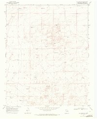 Gallegos NE 1969 topographic map thumbnail