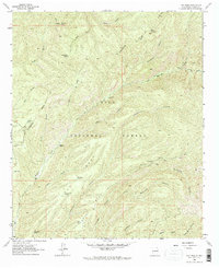 Hay Mesa 1963 topographic map thumbnail