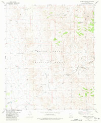 Hembrillo Basin 1981 topographic map thumbnail