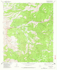 High Rolls 1982 topographic map thumbnail