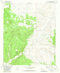 Indian Peaks East 1981 topographic map thumbnail