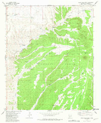 Indian Peaks West 1981 topographic map thumbnail