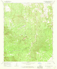 Indian Spring Canyon 1964 topographic map thumbnail