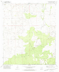 Javelina Basin 1973 topographic map thumbnail