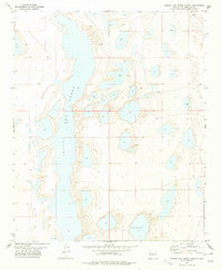 Laguna Del Perro North 1978 topographic map thumbnail