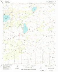 Laguna Gatuna 1984 topographic map thumbnail