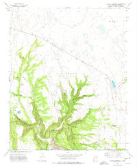 Laguna Huerfana 1971 topographic map preview