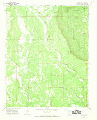 Laguna Ortiz 1966 topographic map thumbnail