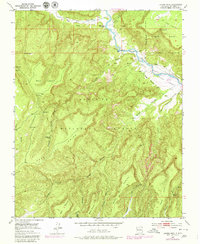 Laguna Peak 1953 topographic map thumbnail