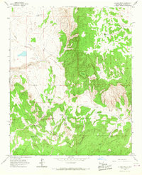 La Jara Peak 1964 topographic map thumbnail