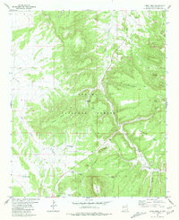 Largo Mesa 1981 topographic map thumbnail