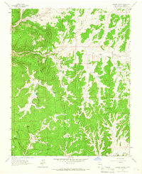 Leandro Canyon 1963 topographic map thumbnail
