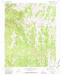 Leandro Canyon 1963 topographic map thumbnail