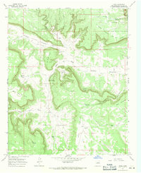 Leyba 1966 topographic map thumbnail