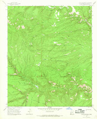 Lilley Mountain 1965 topographic map thumbnail