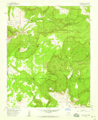 Lobo Springs 1957 topographic map thumbnail