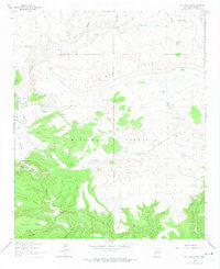 Loco Mountain 1963 topographic map thumbnail