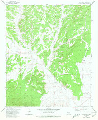 Log Canyon 1981 topographic map thumbnail