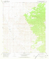 Luera Mountains West 1981 topographic map thumbnail