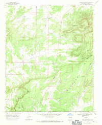 Mariano Springs 1967 topographic map thumbnail