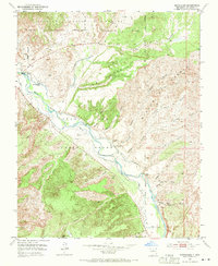 Medanales 1953 topographic map thumbnail
