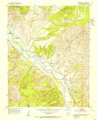 Medanales 1953 topographic map thumbnail