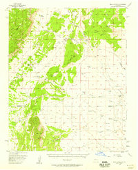 Mesa Aparejo 1956 topographic map thumbnail