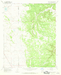 Mesa El Toro 1966 topographic map thumbnail