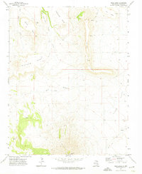 Mesa Larga 1971 topographic map thumbnail