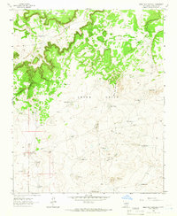 Mesa Palo Amarillo 1963 topographic map thumbnail