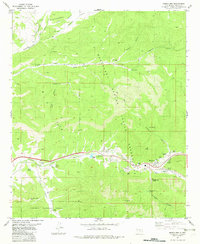 Mescalero 1982 topographic map thumbnail