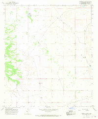 Mesquite Lake 1966 topographic map thumbnail