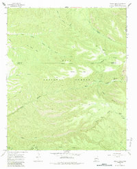 Middle Mesa 1965 topographic map thumbnail