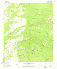 Mogollon 1963 topographic map thumbnail