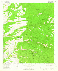 Mogollon 1963 topographic map thumbnail