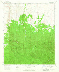 Monica Saddle 1964 topographic map thumbnail