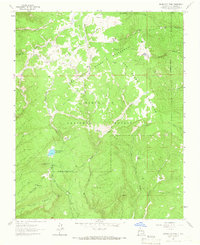Nacimiento Peak 1963 topographic map thumbnail