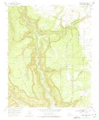 Navajo Peak 1953 topographic map thumbnail