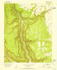 Navajo Peak 1953 topographic map thumbnail